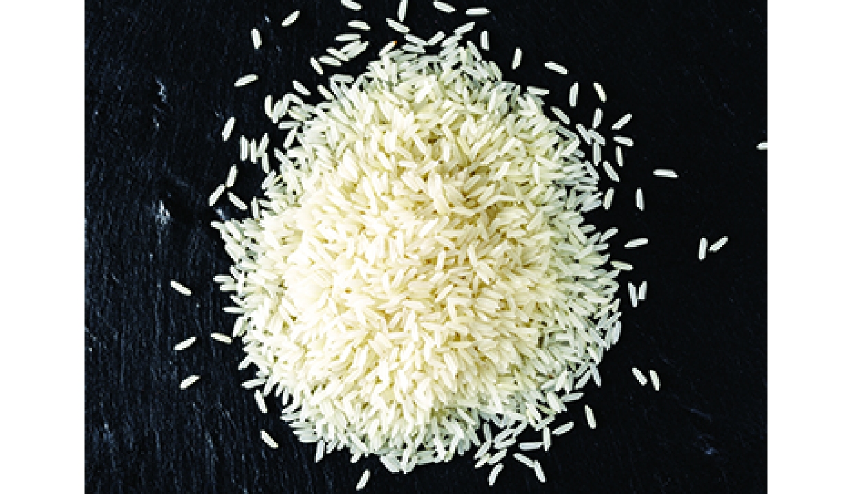 West Bengal rice industry seeks infra push, faster clearances