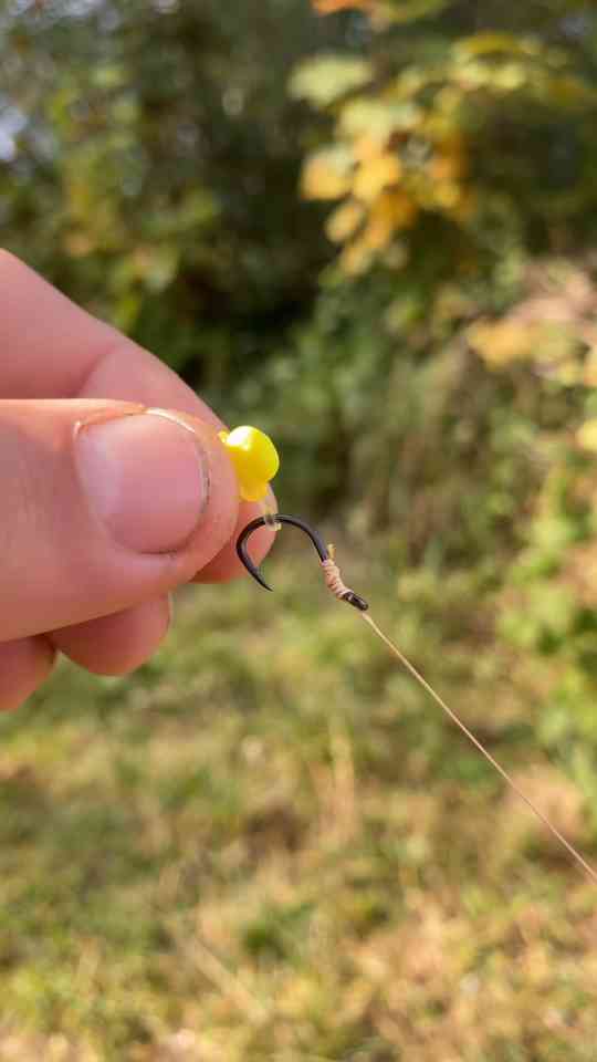 Satisfying carp fishing clips you’ll love