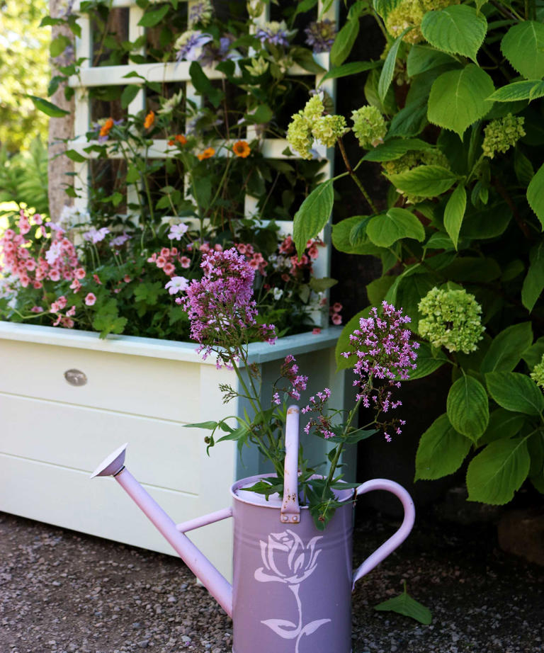 These 4 vertical gardening tricks can transform tiny urban spaces into ...