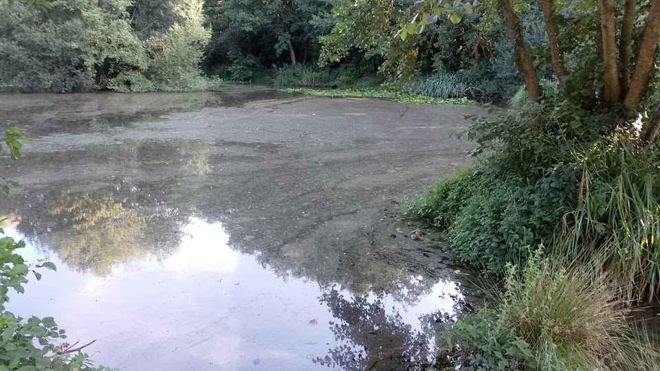 Hellingly and Horsebridge village news