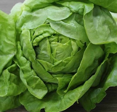 Lời khuyên cho những người hay ăn rau xà lách
