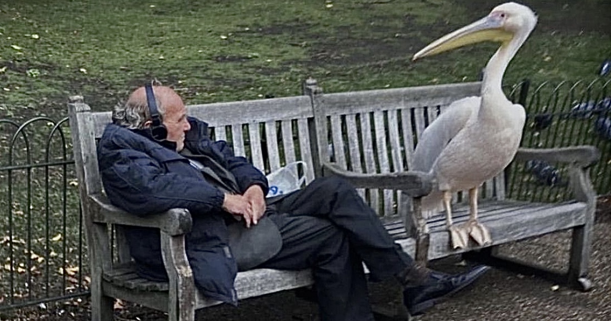 20 photos where nobody is exactly sure what's happening