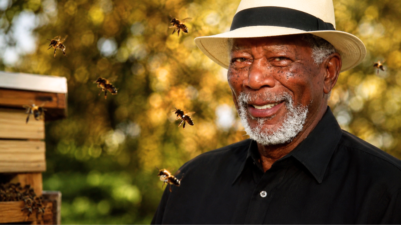 Saving planet and pollinators: Morgan Freeman turned his 124-acre ranch ...