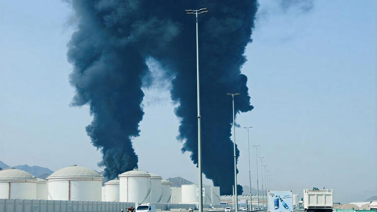 Pakistan condemns drone attack on UAE nuclear plantPublished on: May 18 ...