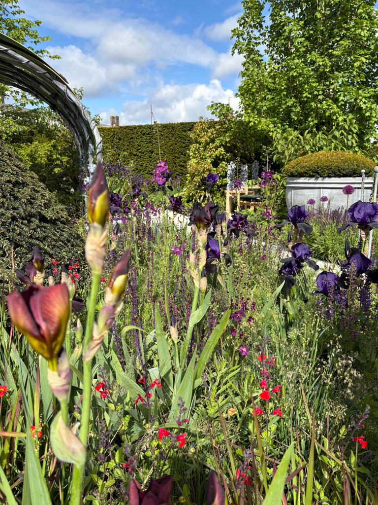 What are the top trends at the 2026 Chelsea Flower Show
