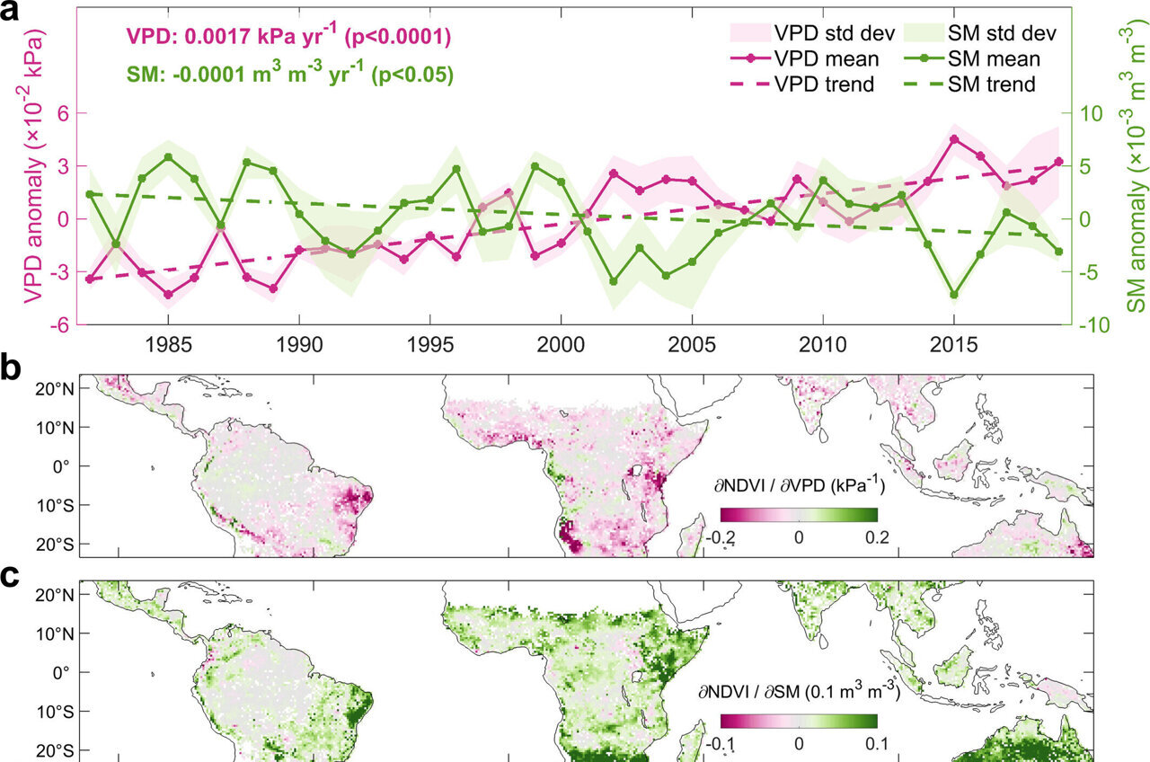 Intensifying droughts may be pushing tropical forests toward a ...