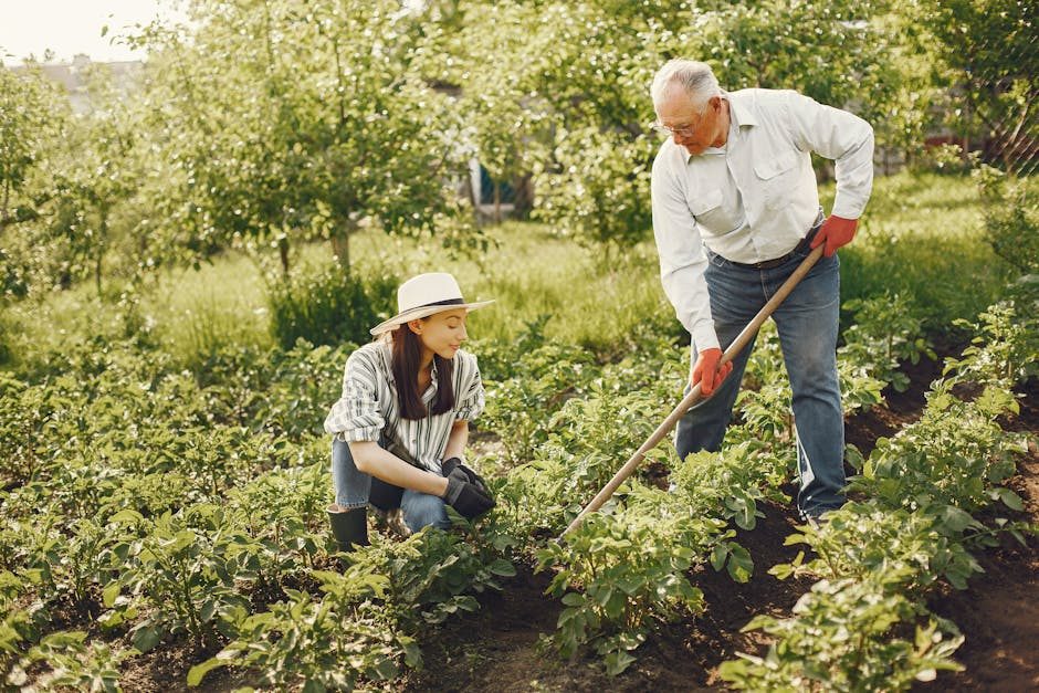 Why our grandparents' garden habit is what researchers now recommend