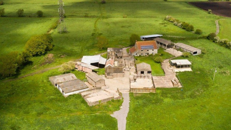 Saving planet and pollinators: Morgan Freeman turned his 124-acre ranch ...