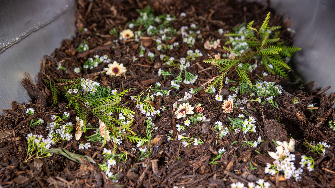 A huge human composting facility just opened outside DC