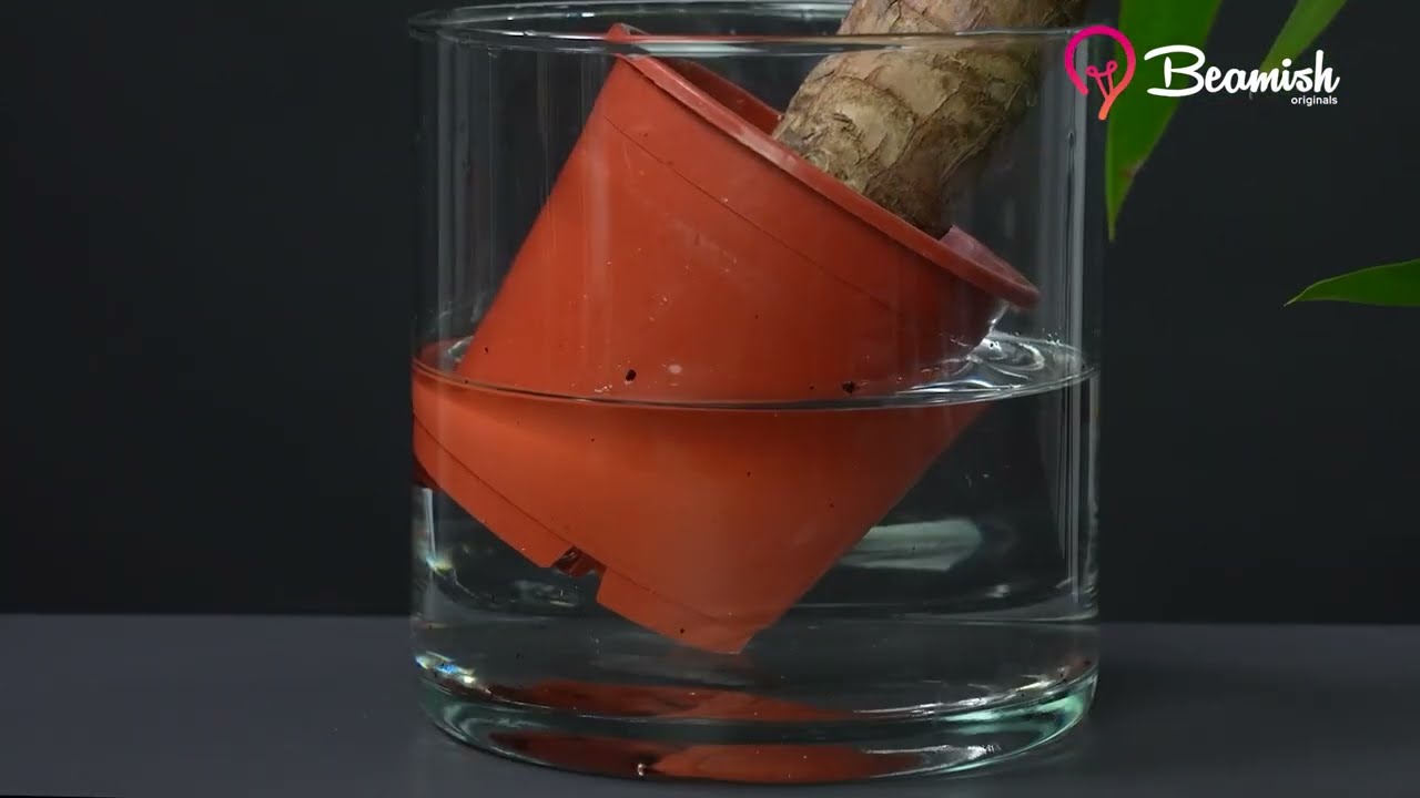 Household tips to fix things and make life better!