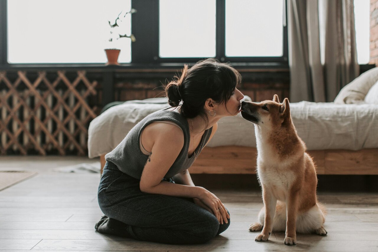 A smelly dog breath breakthrough: Plant-based spray tackles odor and ...