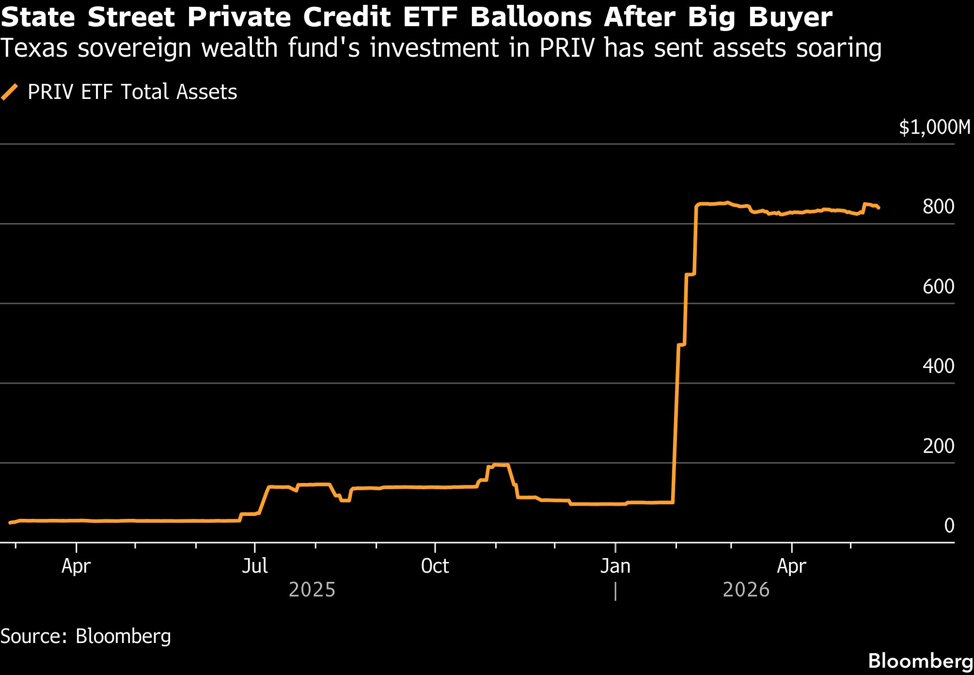Texas fund revealed as record backer of State Street credit ETF