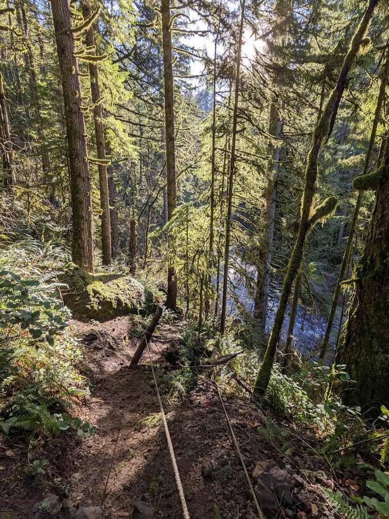 This 0.7-mile Oregon trail leads to a waterfall that barely anyone ...