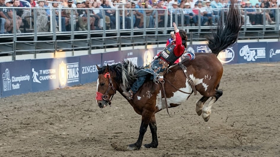 This stallion tried everything to throw him - then got absolutely ...