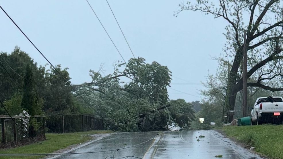 Strong storms leave thousands without power in Michiana