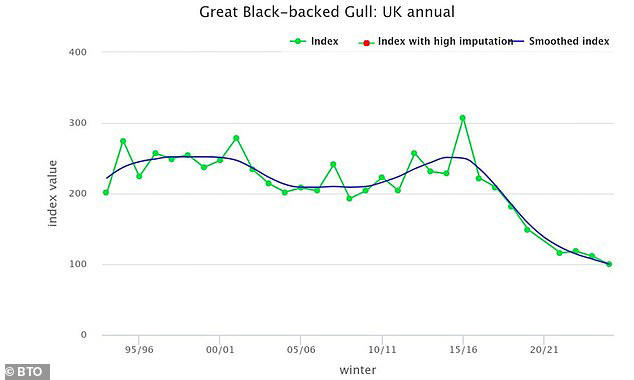 New research reveals gull numbers are in steep decline in Britain, painting a bleak picture for the seaside scavengers