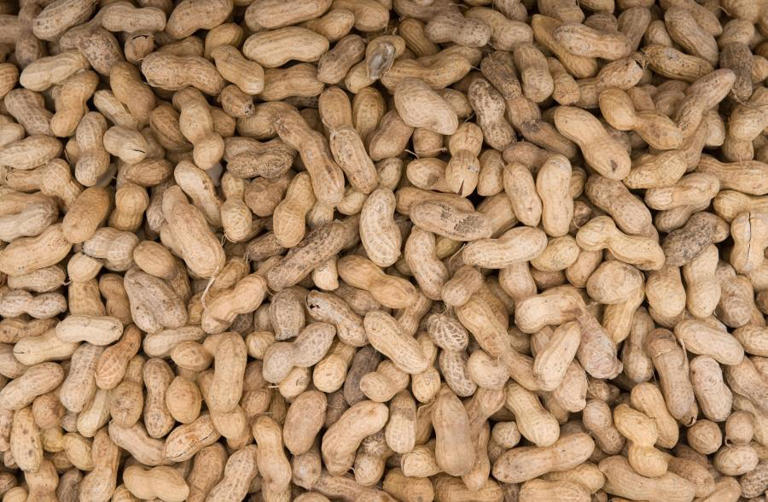 Texas A&M working to help peanut growers amid protein’s surge in popularity