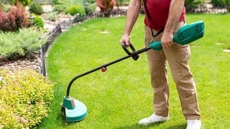 The right way to weed whack for cleaner lawn edges and healthier grass