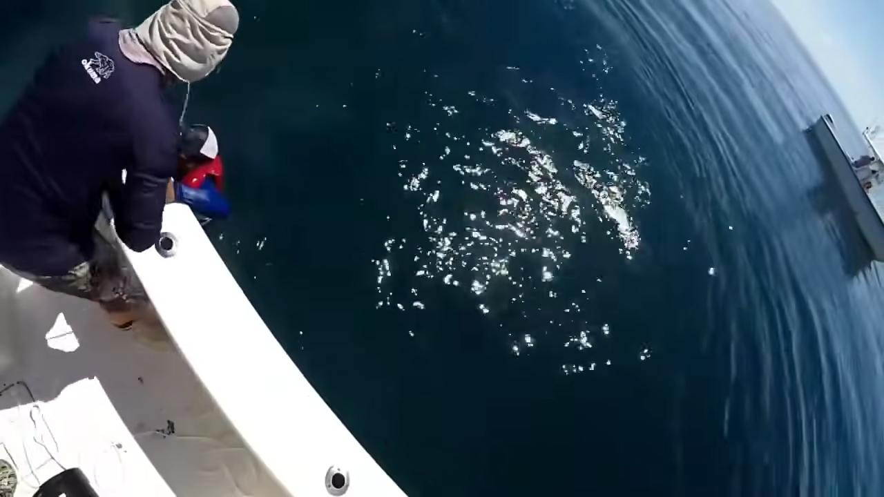 He caught the biggest fish of his life, then it dragged him under