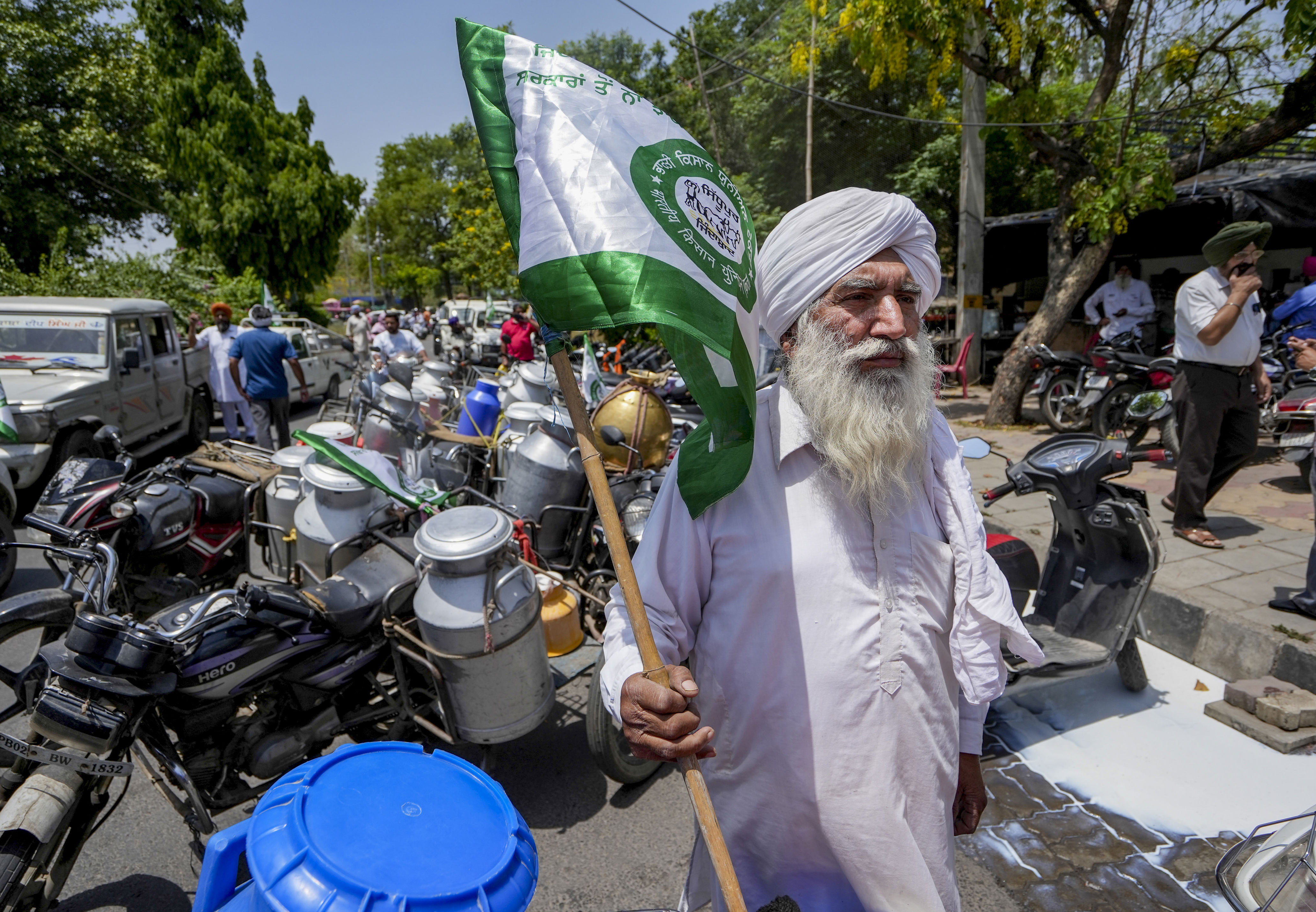 Hundreds of litres of milk poured out in Amritsar as farmers protest ...