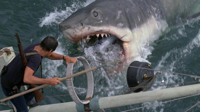 Steven Spielberg's Jaws success led to the creation of this cult ...