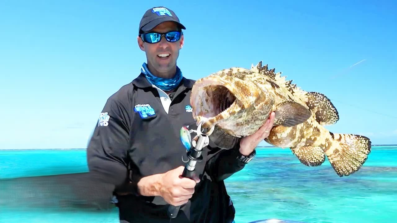 Giant fish were exploding out of the water all around our boat