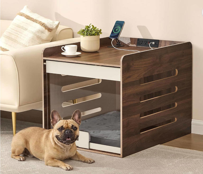 Amazon’s modern side table comes with a built-in bed for your pup—and ...
