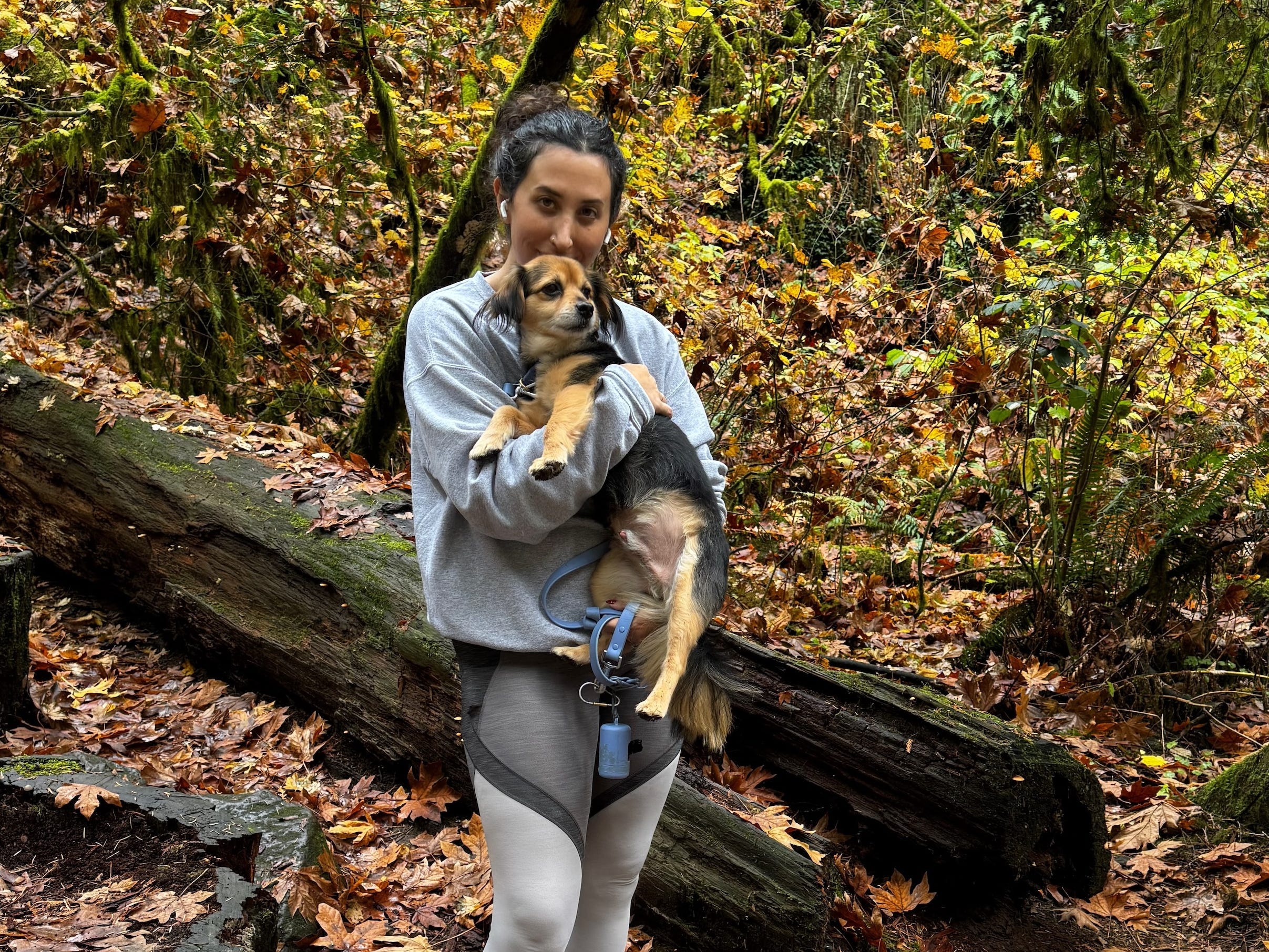 Woman holding dog in woods near leaves, tree branches