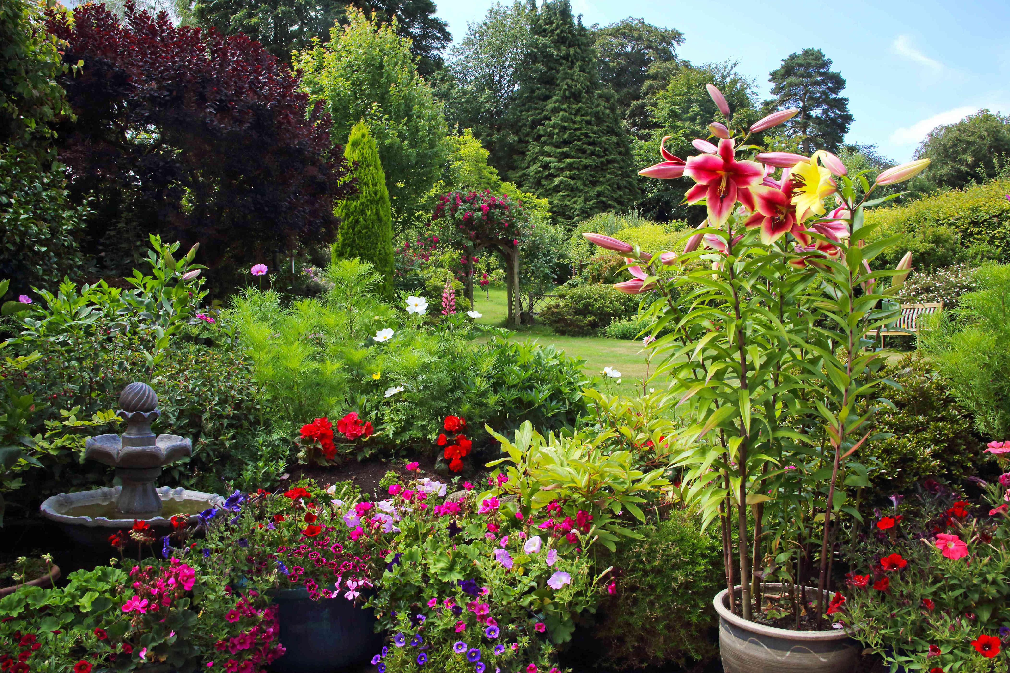 5 plants that can take over your garden fast—even expert gardeners ...