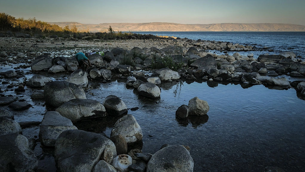 Scientists identify two new parasite species in Sea of Galilee fish