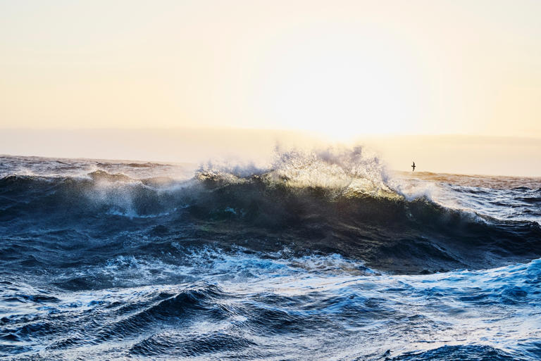 Eco Wave Power to join NVIDIA Inception program for AI-driven energy ...