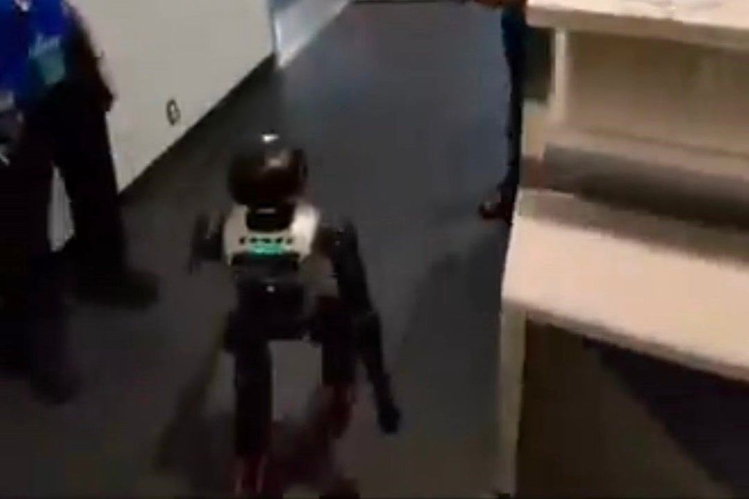 Southwest Airlines humanoid robot ban after passenger flies with one in ...