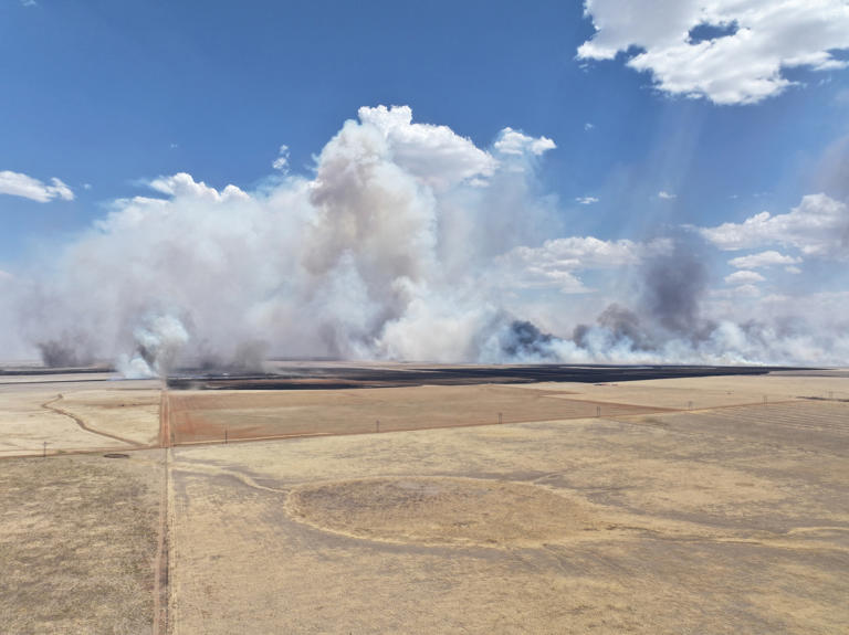 Texas Department of Agriculture deploys resources after wildfires