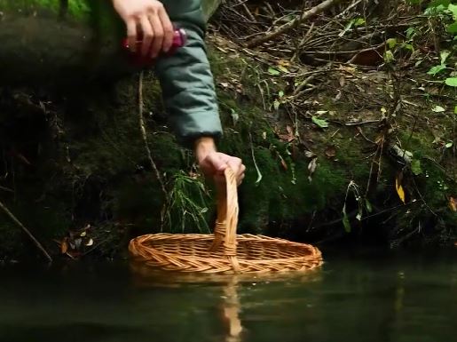 都会の喧騒を逃れて：自分だけの自然の隠れ家を築こう