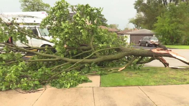 Thunderstorms topple small plane, leave damage and power outages in ...