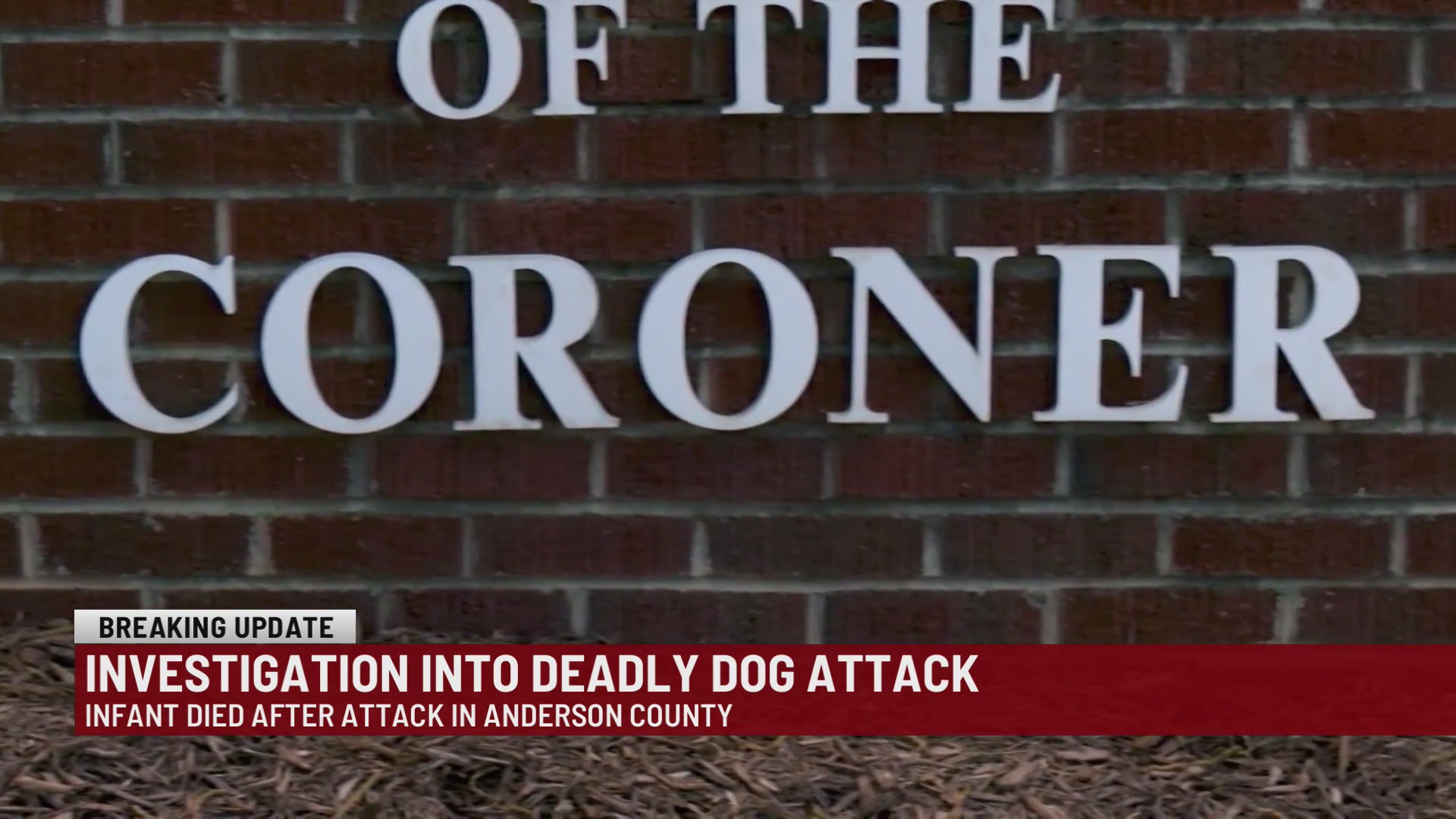 New details of deadly dog attack on infant in Anderson County