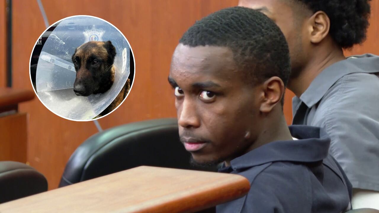 Man pleads guilty to shooting Richland County K-9 during 2024 chase
