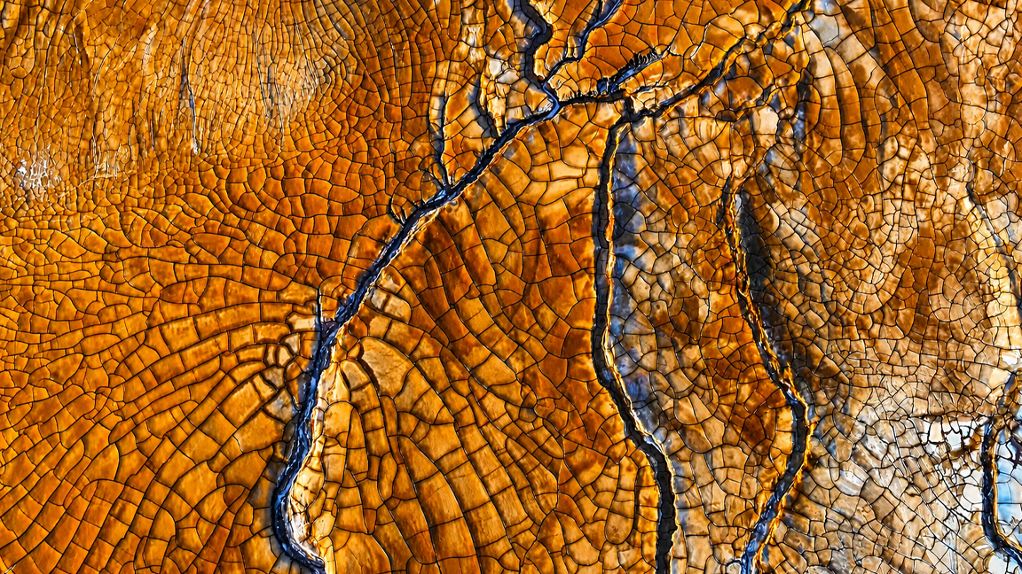 Unique earth cracks creating artistic natural design