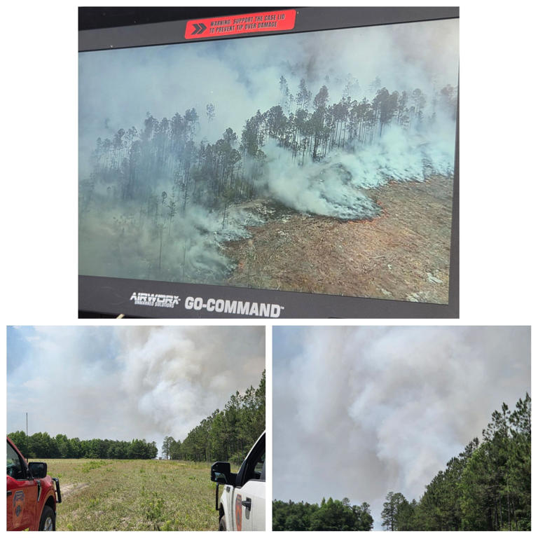 Prescribed burn in Effingham Co. escapes break lines near Highway 21