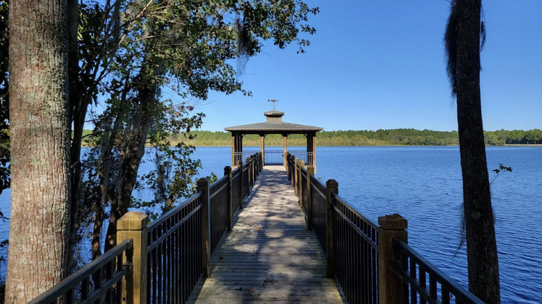 Between Augusta and Savannah is South Carolina's lake state park with ...