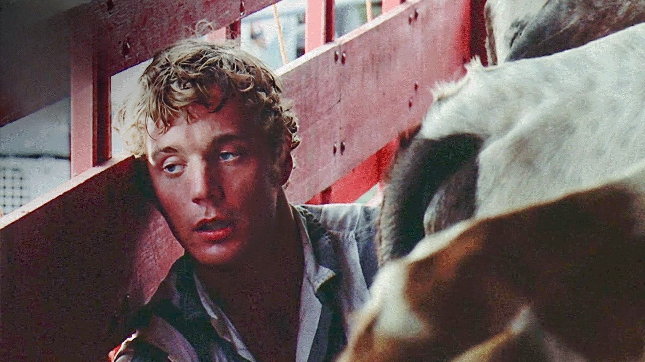 Eddie Macon Escapes Prison During the Rodeo Eddie Macon’s Run