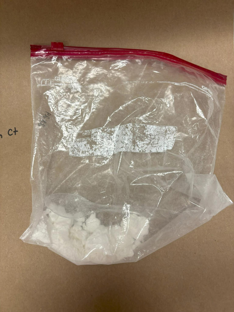 Narcotics investigation leads to 2 arrests in Columbus, 1 bonded out ...