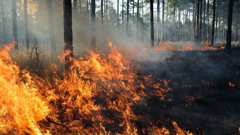 Champlin incident vegetation fire in Tehama County quickly contained