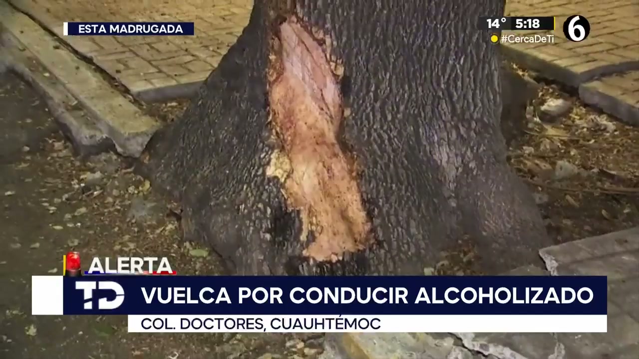Mujer es procesada por presunto asesinato de su hijo en Ecatepec. TD ...