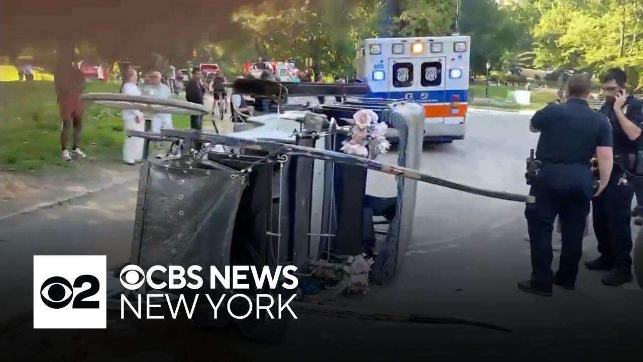 Horse carriage overturns in Central Park