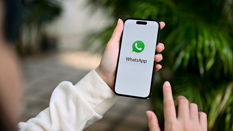 WhatsApp explained: A basic guide to this giant messaging app