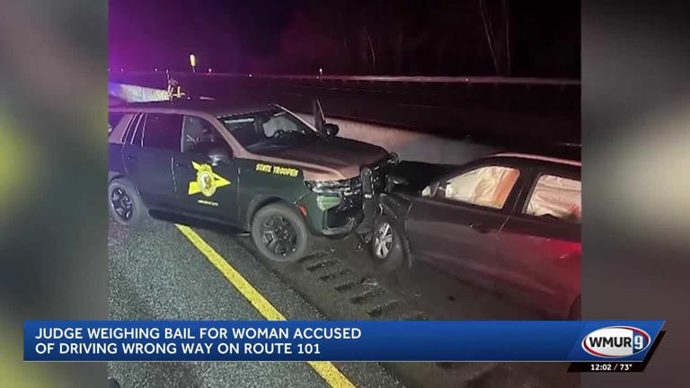 Wrong-way driver accused of crashing into state police cruiser appears ...