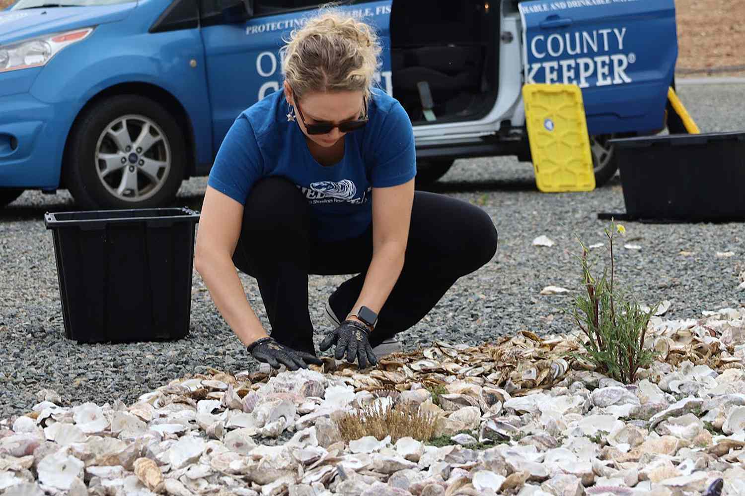 Woman who collected more than 24,000 pounds of oyster shells says she ...