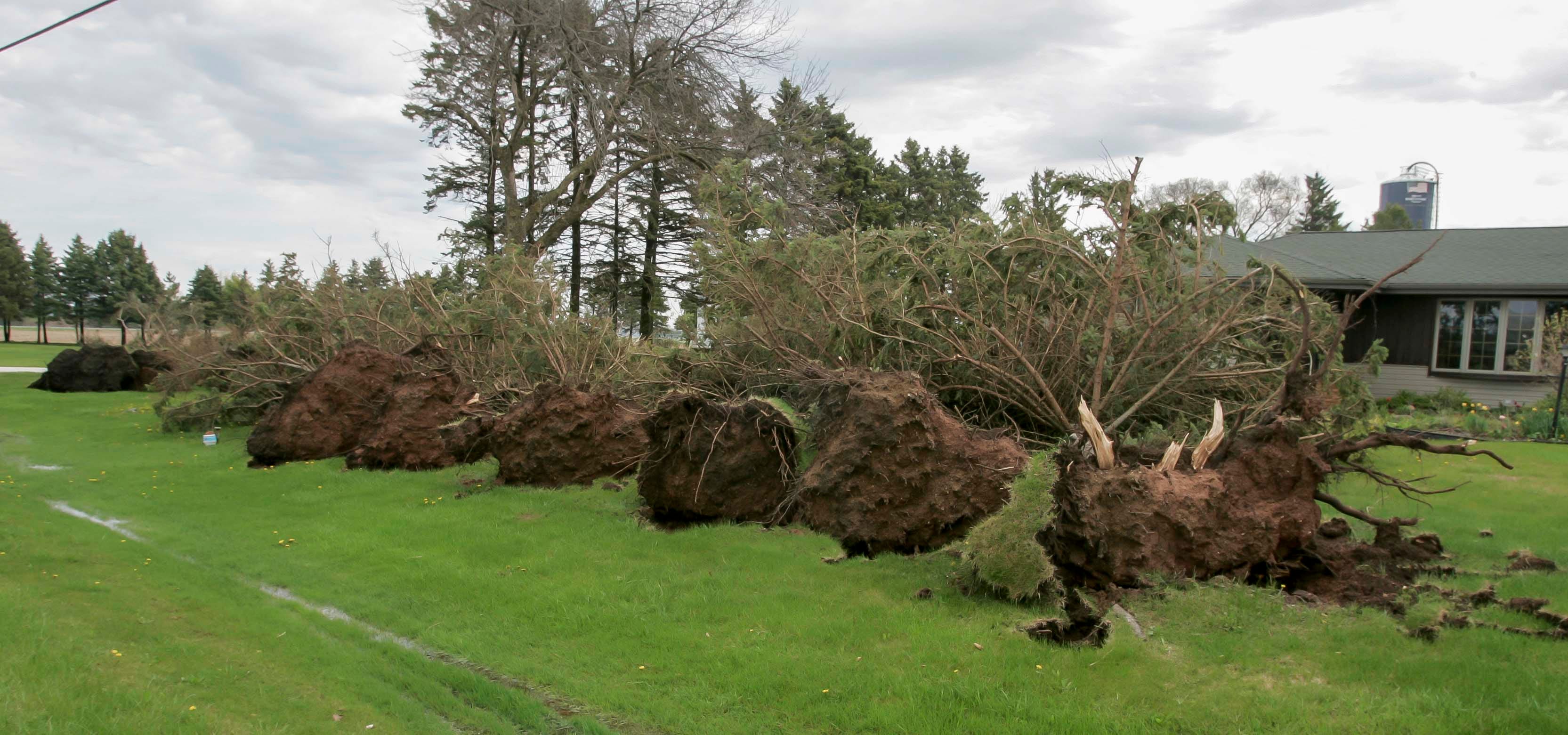 Two Rivers cleanup begins after storm downs trees and power lines