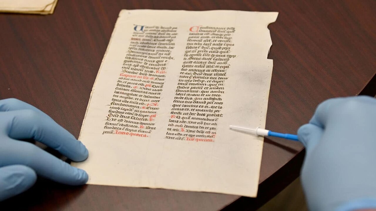 Nondestructive DNA sampling reveals 1,300 years of secrets in historic ...